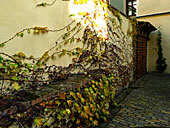 Penzion U císaře Zikmunda - dvůr